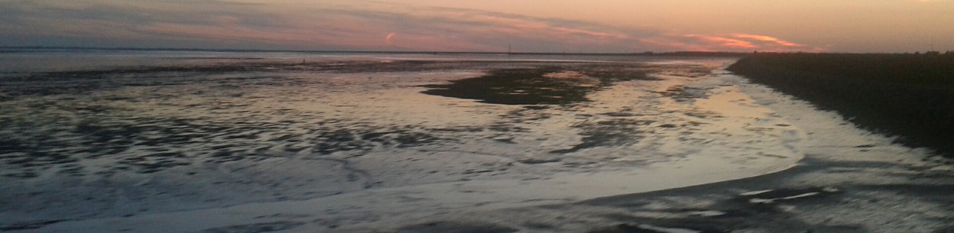 Het Wad